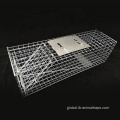 Collapsible Squirrel Trap Cage Squirrel Trap Steel Rabbit Trap Cage Supplier